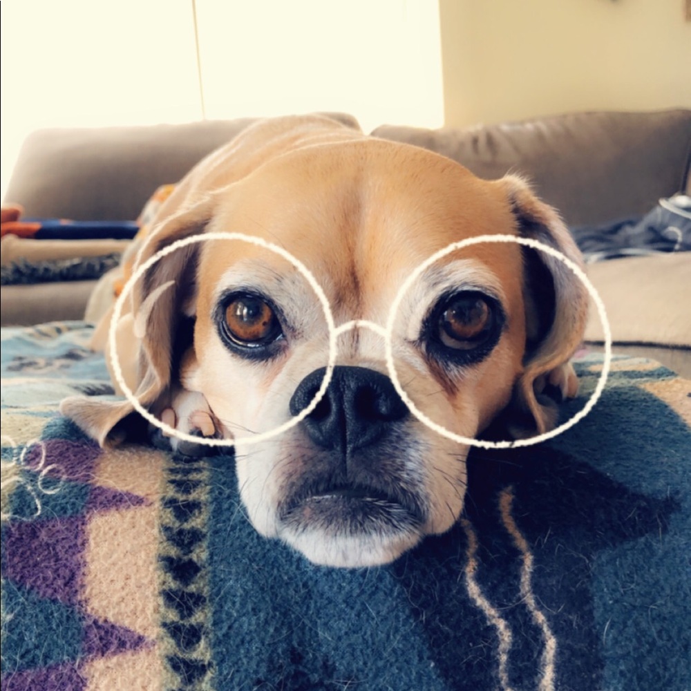 Meet your Posher, Charles